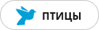 Внутрішні сторінки
