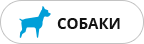 Внутрішні сторінки